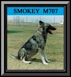 Smokey Framed