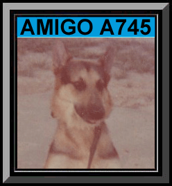 Amigo Framed