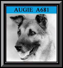 Augie Framed