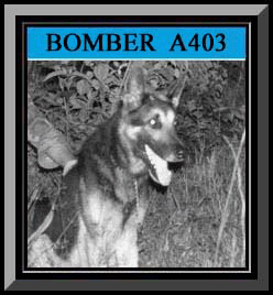 Bomber Framed