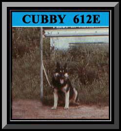 Cubby Framed