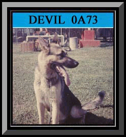 Devil Framed