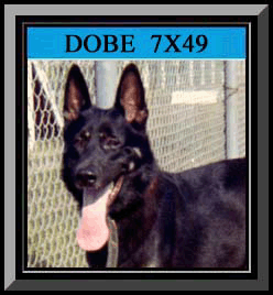 Dobe Framed