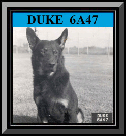 Duke Color Framed