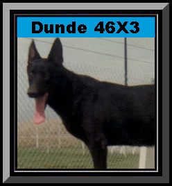 Dunde Framed