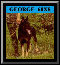 George Color Framed