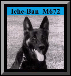 Iche-Ban Framed