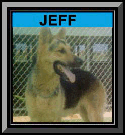 Jeff Framed