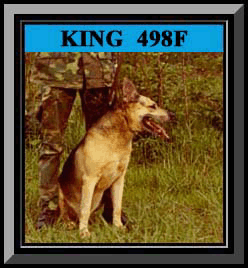 King Framed