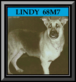 Lindy Framed