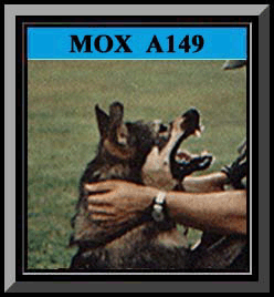 MOX Color Framed