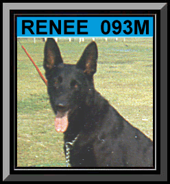 Renee Framed