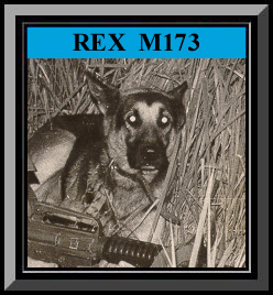 Rex Framed