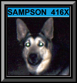 Sampson Framed