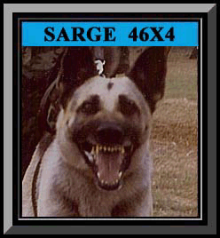 Sarge Framed