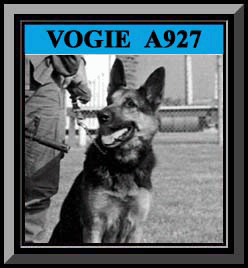 Vogie Framed